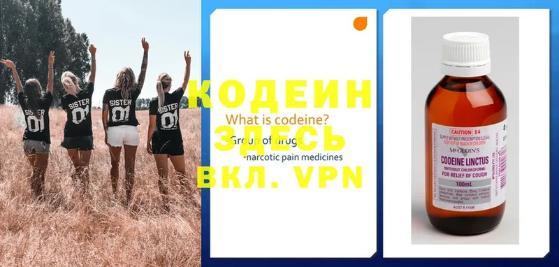 blacksprut ссылки  Москва  Codein Purple Drank 